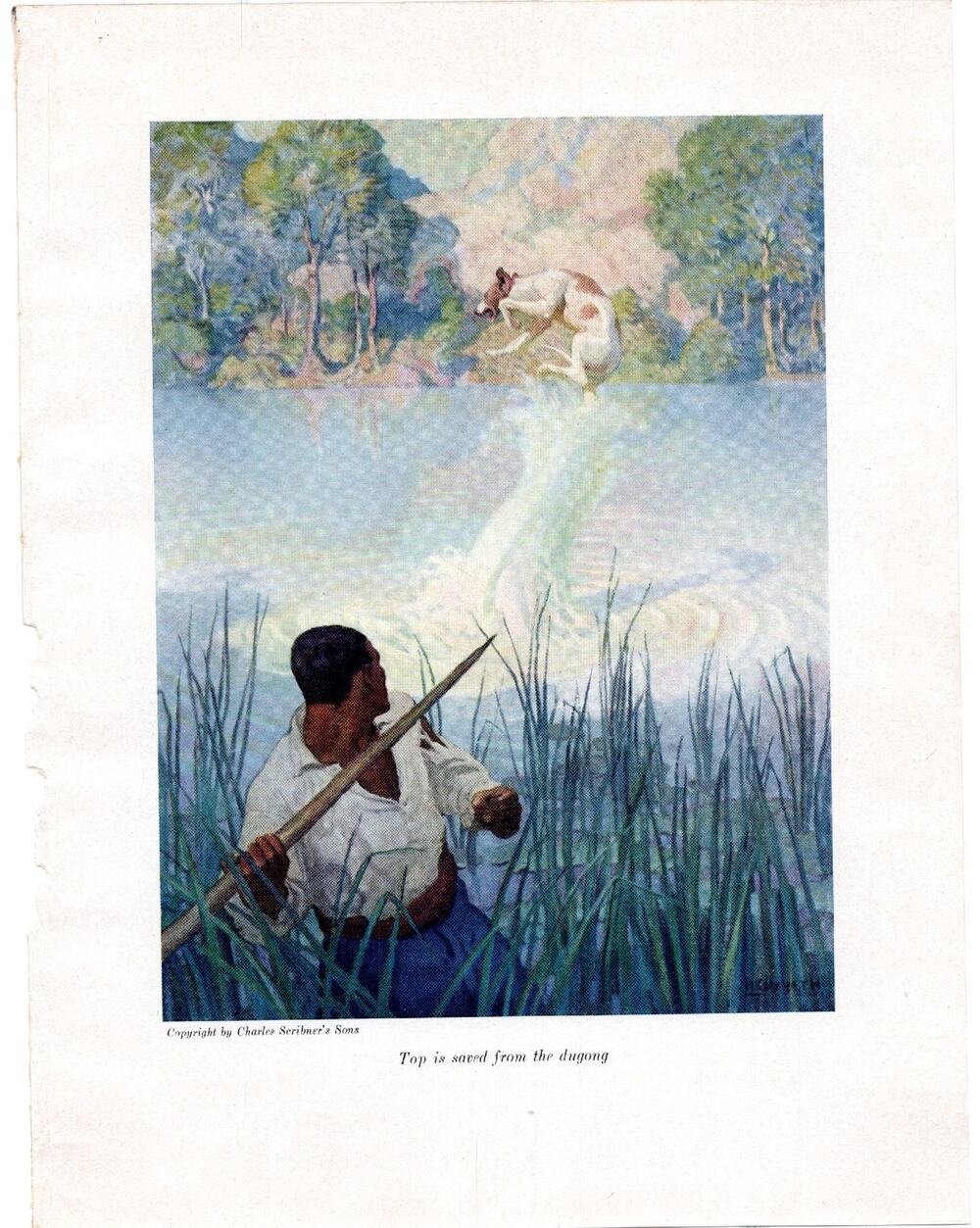 Mysterious Island Illustration Top Is Saved From The Dugong NC Wyeth Jules Verne
